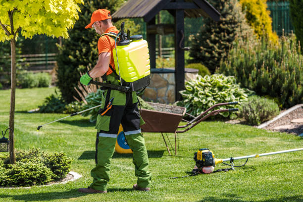 Best Indoor Pest Control  in Kimberly, WI